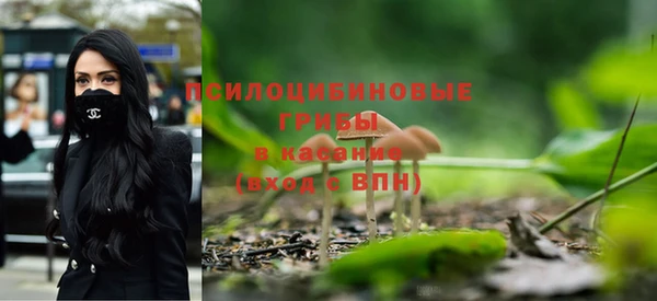 шишки Абаза