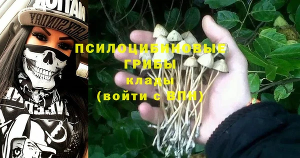 спайс Алексин