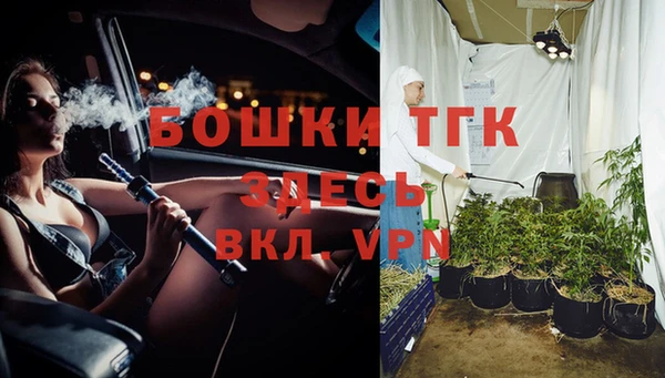 гидропоника Алзамай