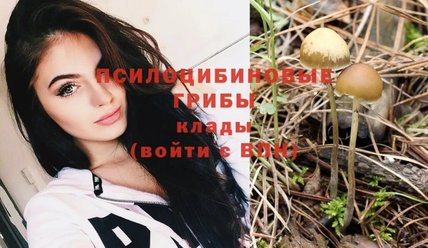 гидропоника Алзамай
